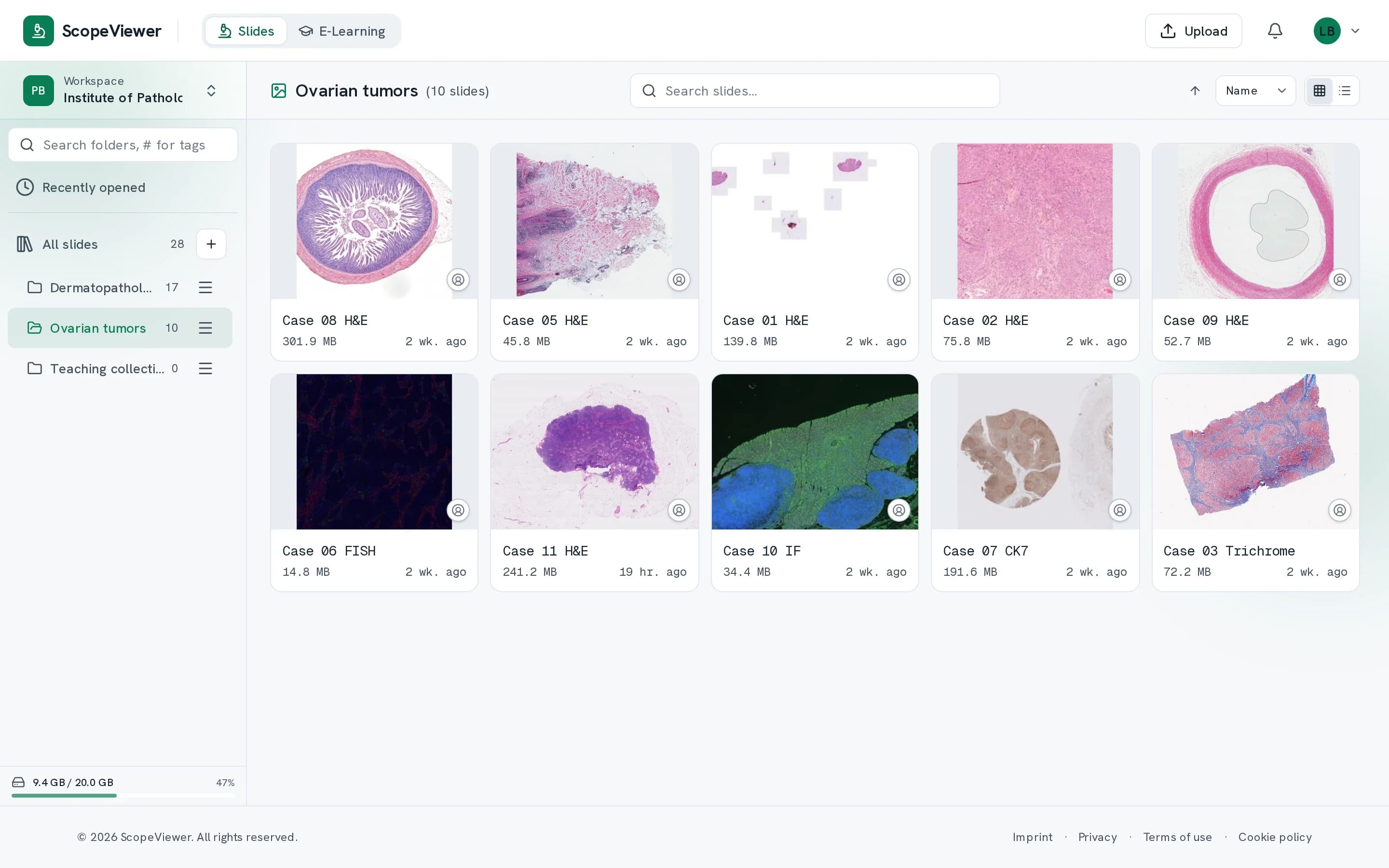 A folder of ten slides shown as thumbnails