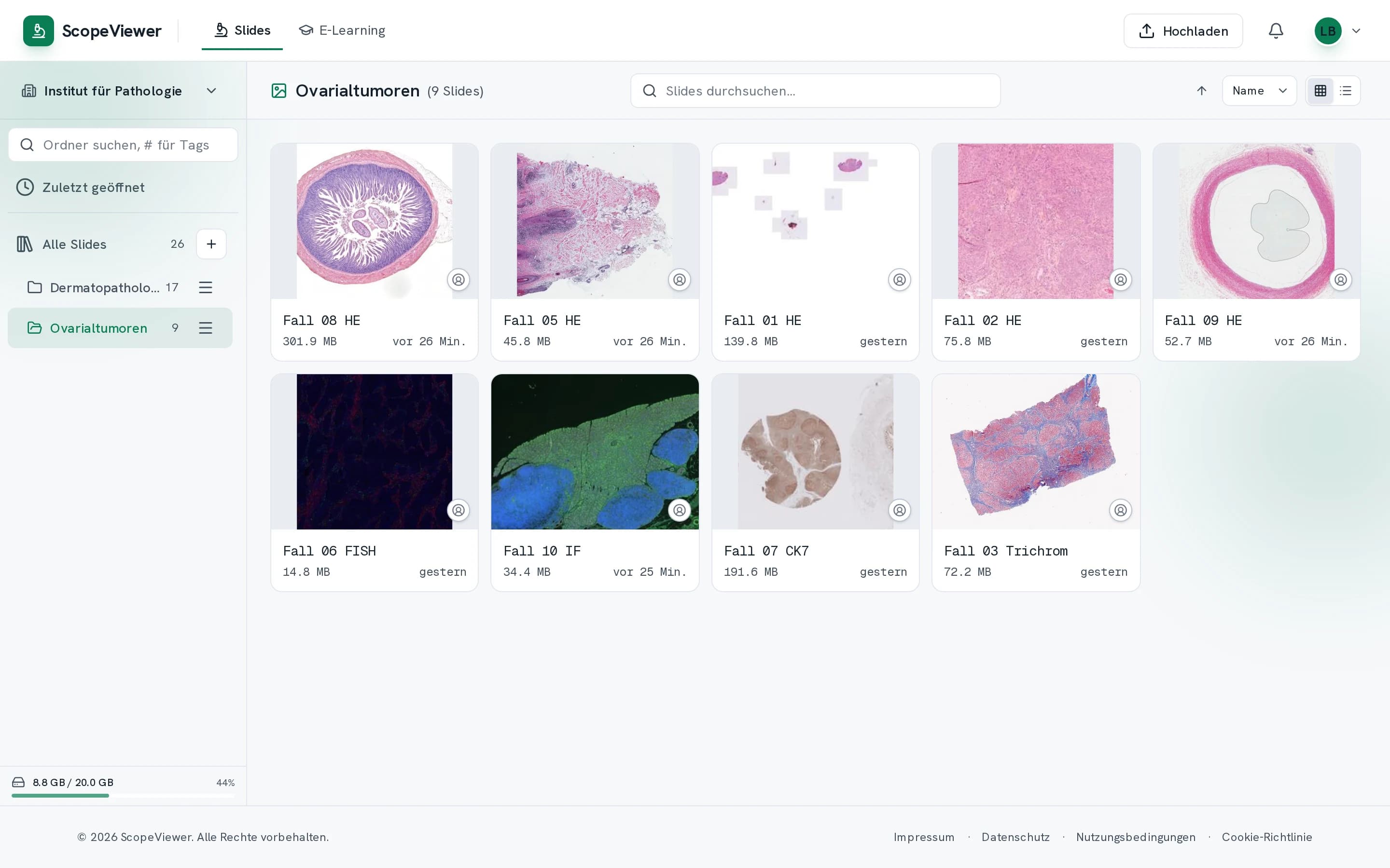 A folder of nine slides shown as thumbnails